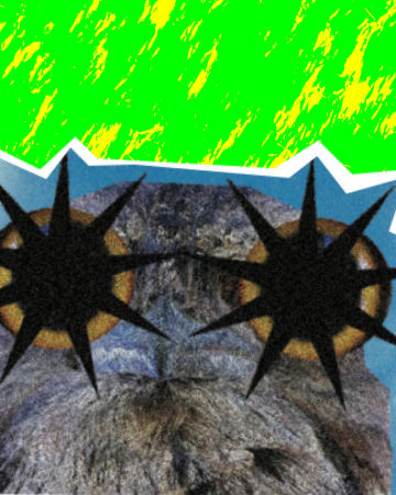 The Oddities of Australian Birds