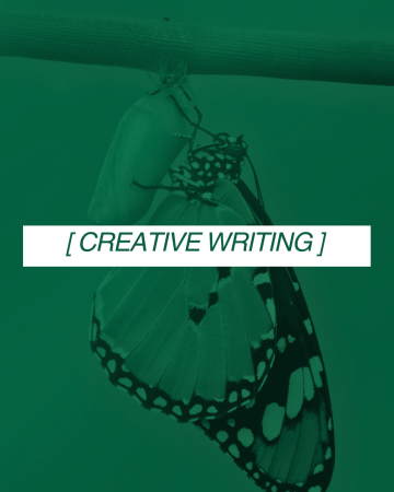 Metamorphosis – A Diary of My Twenties