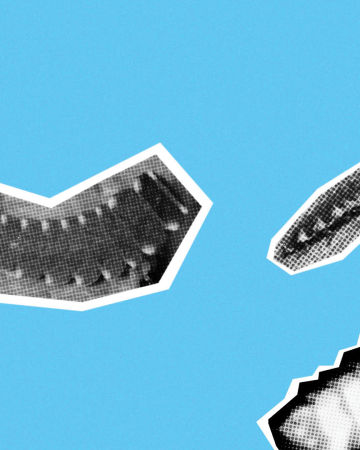 Life Advice from Glow Worms