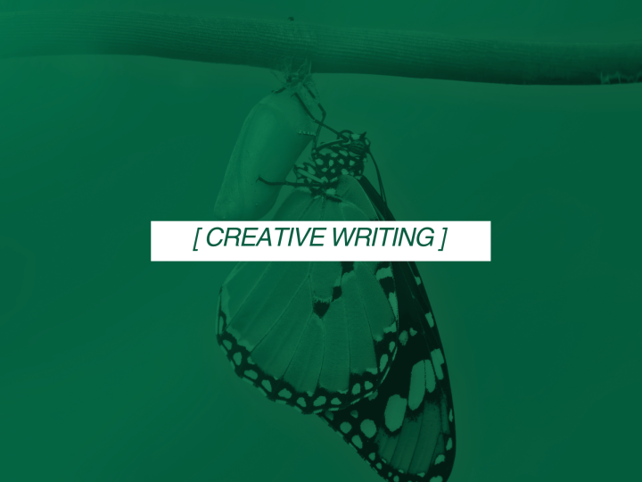Metamorphosis – A Diary of My Twenties